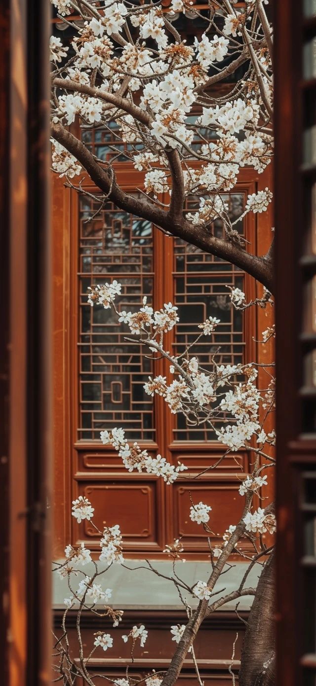 無(wú)錫一日游！這是一個(gè)把甜度拉滿(mǎn)的旅程！誰(shuí)說(shuō)不是櫻花的季節(jié)，就不能去無(wú)錫了？從常州