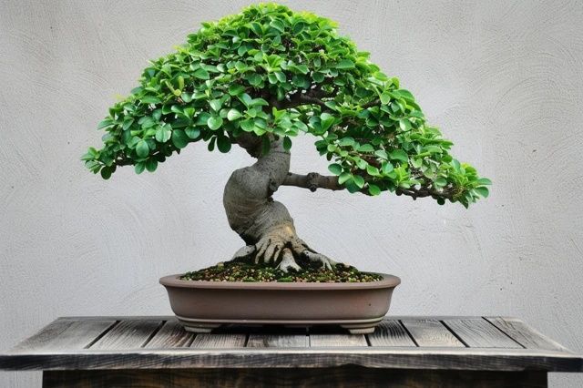 家庭裝修風(fēng)水寶典：避免3大禁忌，打造和諧家居環(huán)境