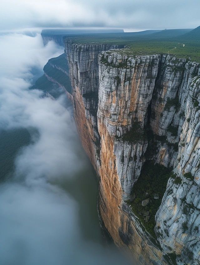 梵凈山兩日游超詳細(xì)攻略來襲，帶你玩遍貴州美景！