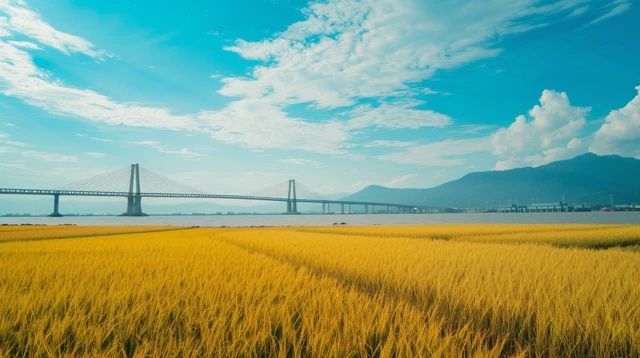 位于蘇浙皖交界的是宜興竹海和宜興太華竹海，溧陽只和安徽接壤//記錄工地搬磚的點