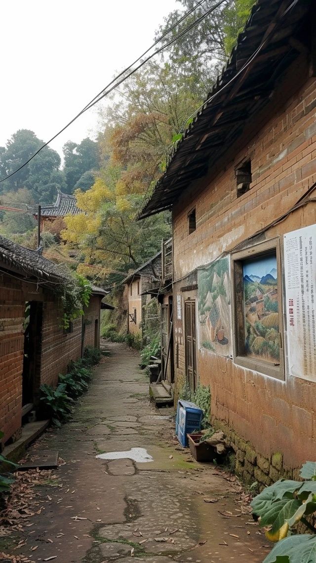 從單打獨(dú)斗到抱團(tuán)發(fā)展！平陽粉干村書寫新故事