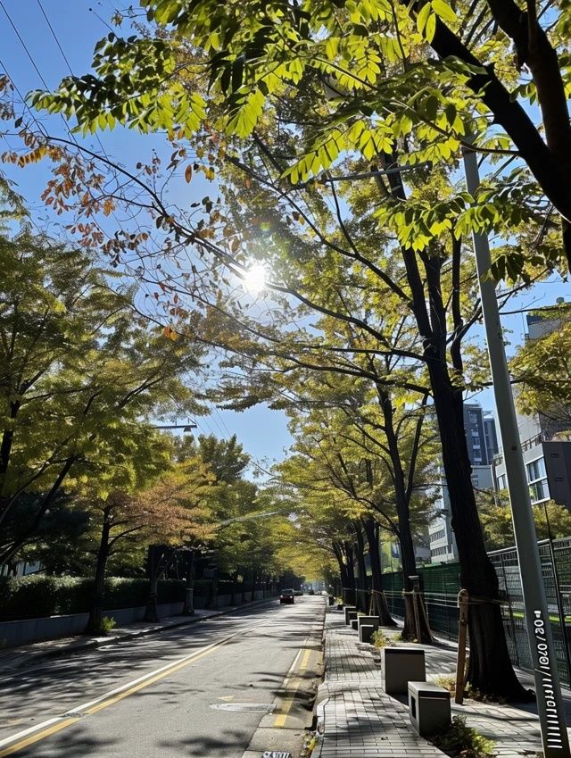 在多云轉(zhuǎn)晴的錦州，根據(jù)天氣無縫銜接安排行程~