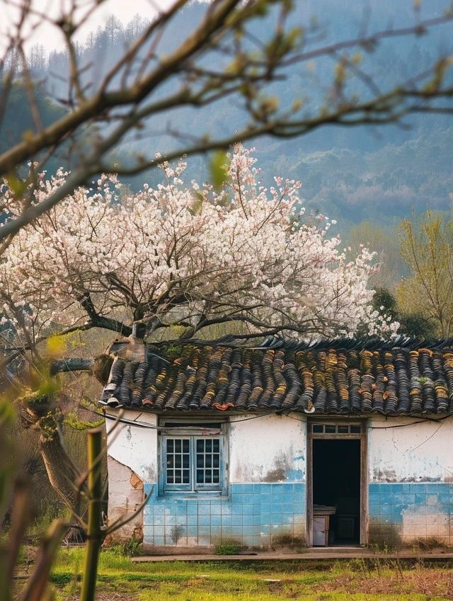 寧波最in鄉(xiāng)村旅游打卡點出爐