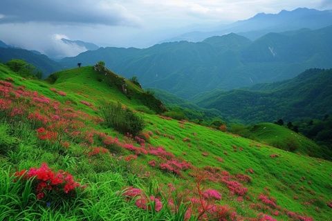 當(dāng)人們認(rèn)識(shí)到知識(shí)的價(jià)值而非只是膚淺的認(rèn)知時(shí)，農(nóng)村山野中的野菜品種將呈現(xiàn)出多樣性。
