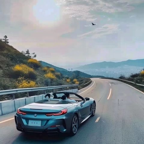 山路行車安全小知識(shí)(山路開車常識(shí))