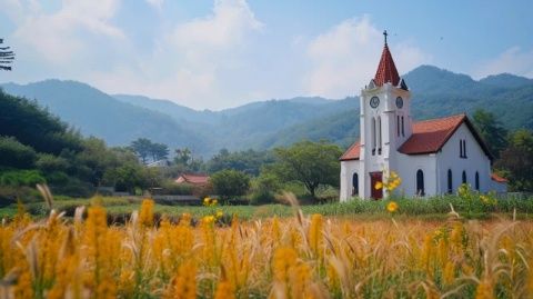 
洞頭海鮮排擋攻略：島上游走，品味海島風(fēng)情美食之旅