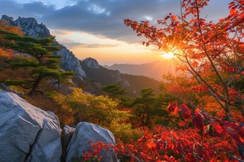 探索大連之魂:不可錯(cuò)過的旅順深度游記