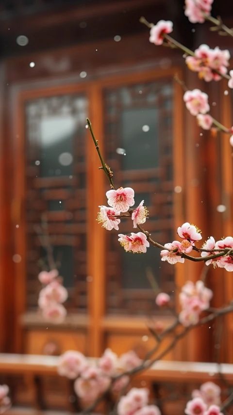昆明，四季如春