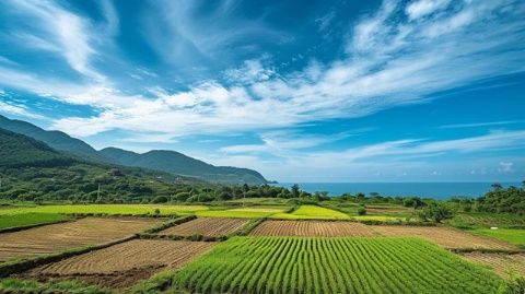 走進(jìn)廣東肇慶懷集縣 美味之旅盡在此！