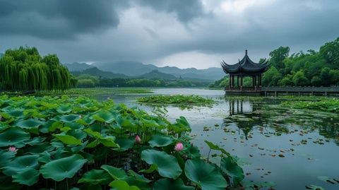 夏日荷塘：荷花盛開(kāi)的視覺(jué)盛宴，探索其文化與生態(tài)價(jià)值