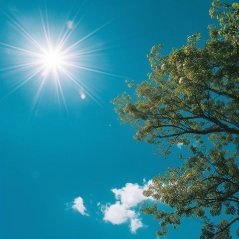 今天天氣預(yù)報(bào)顯示最高氣溫下來(lái)了好多，今天最高氣溫僅為31度，比昨天低了7度