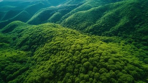 探索長春生態(tài)之美——凈月潭、北湖濕地與這有山文化之旅