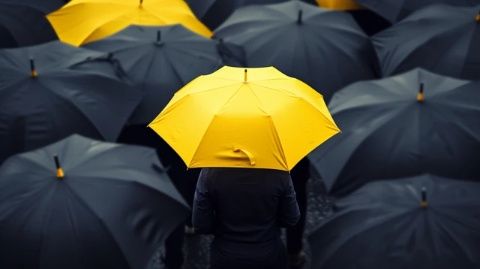 揭秘保險:必知的基礎(chǔ)知識與實用技巧