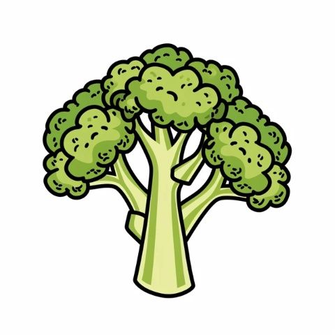 炎熱夏季來(lái)臨！西蘭花成為營(yíng)養(yǎng)補(bǔ)充的最佳選擇