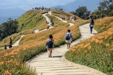 太平山頂必去打卡點(diǎn)香港旅行不迷路超詳細(xì)攻略來了