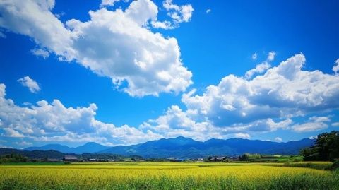 探秘云端仙境：馬家塢納吉云景，世外桃源般的鄉(xiāng)村之旅