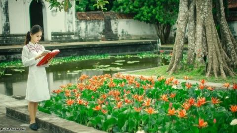 擇吉一本通：實(shí)踐指南，融會(huì)貫通傳統(tǒng)擇日智慧，提升生活品質(zhì)