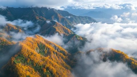 香爐山秋色：五彩斑斕，靜享自然之美