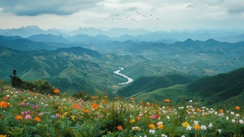 贊第一次走進(jìn)東北，心里想著會遇到那些你瞅啥的場景