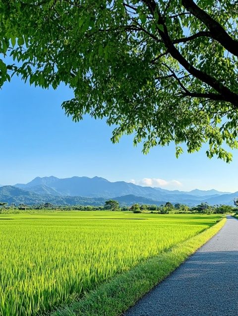 安吉景點大全：美到窒息的自然風(fēng)光和自由活動空間！