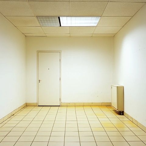 粵暉園免門票試水 商業(yè)運(yùn)營看起來不錯(cuò)。