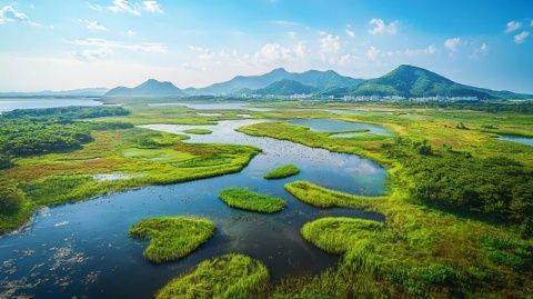 揭秘七臺河：黑龍江省的綠色明珠，自然與人文的完美交融