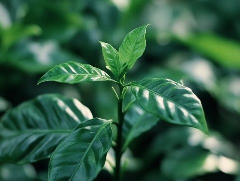 生活中的實用小貼士：培養(yǎng)受益終生的習慣第一課