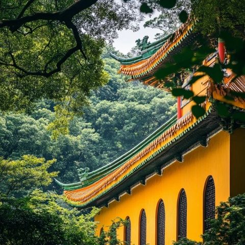 最新最全的普陀山旅游實用攻略來啦！