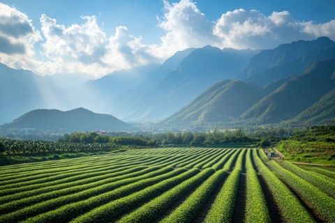 美食美景在沂水探秘“中國(guó)食品城”：第二屆山東（沂水）食品博覽會(huì)即將啟幕