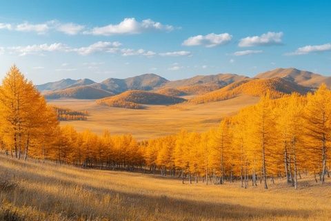 2025年親子探秘之旅：南疆風(fēng)光與文化傳承，讓孩子在大美自然中成長！