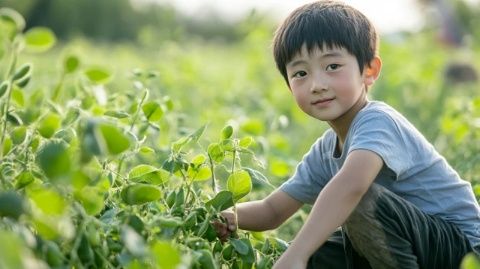 周五接弟妹發(fā)現(xiàn)草莓上市，價格八元一斤，新鮮土豆成新菜式