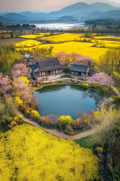 江安縣旅游攻略，探秘自然美景與美食天堂