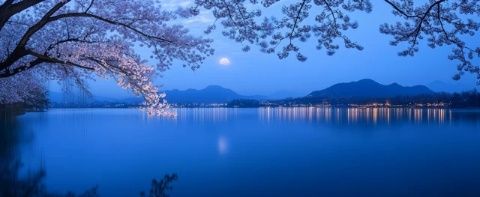 周末Plog|在杭州千島湖看漫山櫻花,想把這個地方安利給所有姐妹