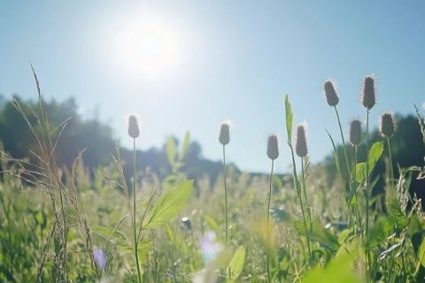 春季養(yǎng)生小知識，給身體預防疾病！