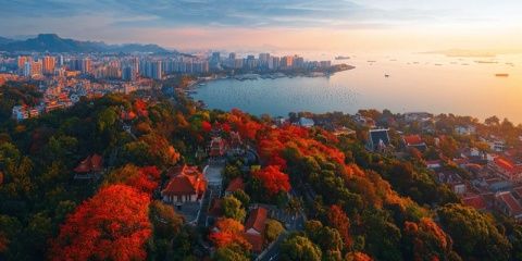廣東“活化石”方便面，僅售1元，曾火遍全國(guó)，是童年的快樂(lè)源泉