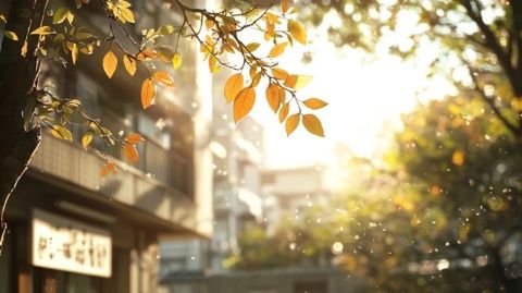 白日如夏晚來(lái)秋，炎熱與涼爽共存