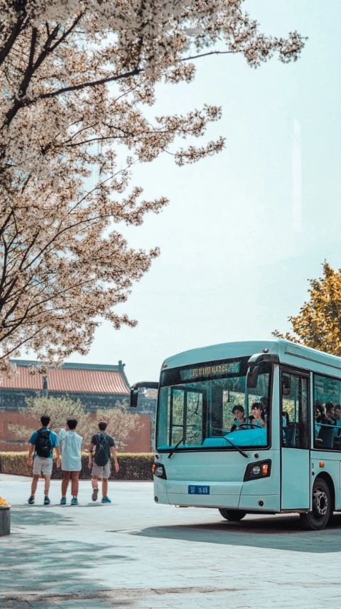 在衡水的一天，我乘坐公交前往了市區(qū)，打算在這里尋找一些小生意或者工作機會,下午