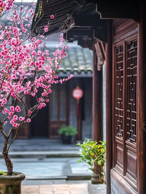即墨古城春景絢爛！花卉盛開(kāi)位置及最佳觀賞時(shí)間一覽