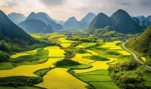 四月天最美景色，槐花飄香滿(mǎn)人間