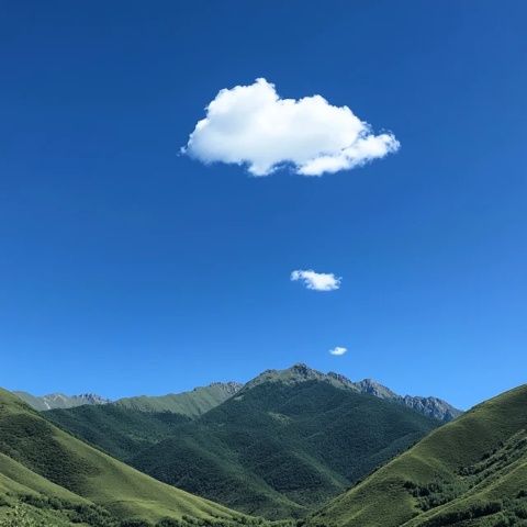 重慶江津云之谷草原：羊駝相伴的歡樂時光，朋友圈必爆景點(diǎn)
