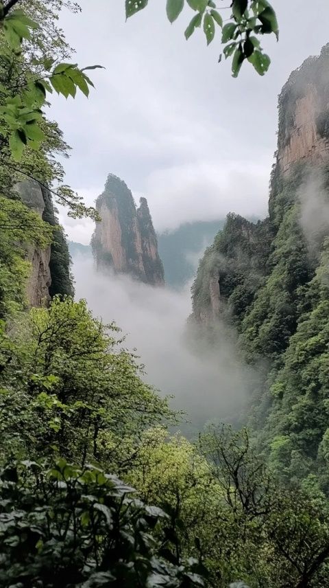 太行山腹地秘寶——阜平八大碗香氣四溢，吸引八方食客品味古早美味
