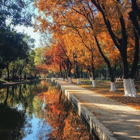 秋日周末，合肥周邊小眾圣地探秘：安徽半湯日光域營地樂園休閑之旅
