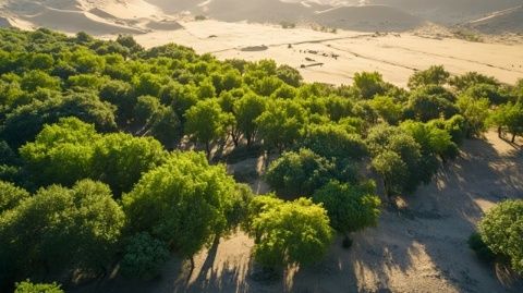 博爾塔拉河畔綠意濃：新疆首個自治區(qū)級水利風(fēng)景區(qū)落戶博樂市，打造生態(tài)旅游新地標(biāo)