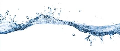 揭秘碳水真相：掌握8個關(guān)鍵知識，智慧管理您的減肥之旅
