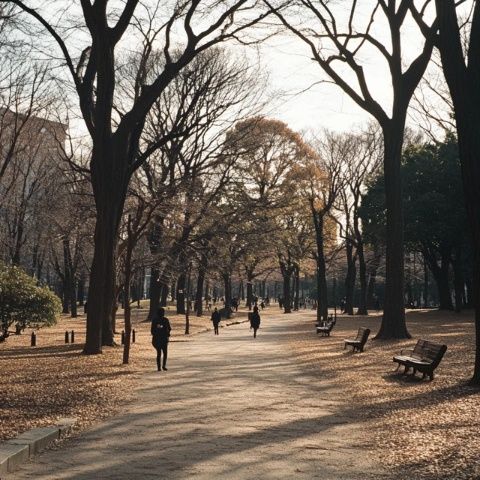 今天在地鐵里遇到兩位來沈陽美國大使館辦理業(yè)務(wù)的山東小姐姐，聽他們倆一路夸沈陽