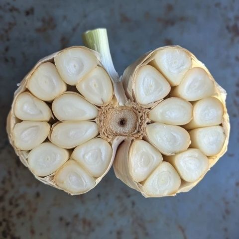 解鎖味蕾之旅:如何獲得舌尖上的美食夢中的蒜蓉菜心(含破解版指南)