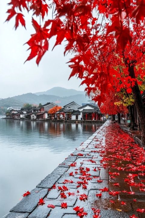 體驗南京賞秋之鐘山風景區(qū)的美景和美食