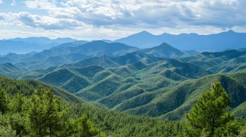 吉林白山：探尋春日山野珍饈，體驗(yàn)大自然的獨(dú)特風(fēng)味