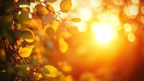 春季養(yǎng)生口訣，記住五個(gè)少！