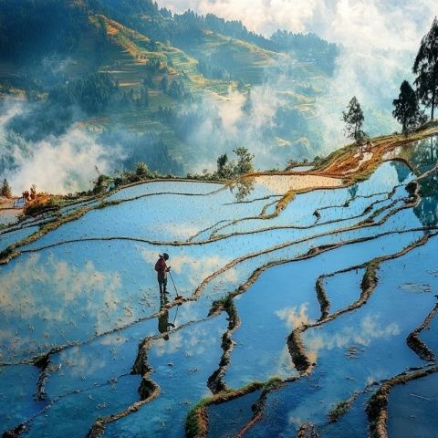 云南元陽哈尼梯田：世界遺產(chǎn)中的天空之鏡之旅
